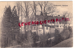 SUISSE - ZURICH-  WADENSWIL  SCHLOSS - 1920 - Wädenswil