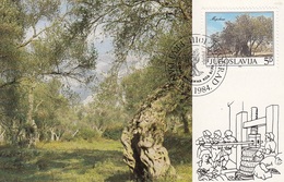 YUGOSLAVIA Maximum Card 2065 - Trees