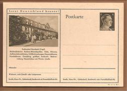 P305 Brambach - Enteros Postales