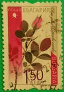 BÚLGARIA 2006 Wild Roses. USADO - USED. - Used Stamps