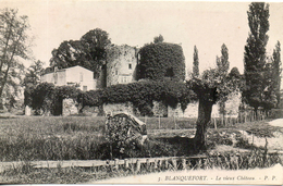 33. Blanquefort. Le Vieux Chateau - Blanquefort