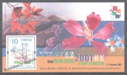 Hong Kong 2000 Yvert BF 71 Miniature Sheet, Hong Kong 2001 International Philatelic Fair - MNH - Nuevos