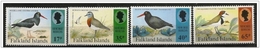 Falkland/Falklands: Uccelli Del Litorale, Birds Of The Coast, Oiseaux De La Côte - Albatros