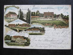 AK PATTHORST Steinhagen Kr. Gütersloh Litho 1907 /// D*24768 - Steinhagen