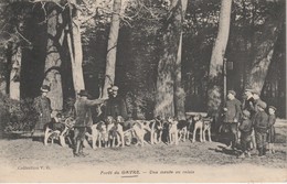 44 - LE GAVRE - Forêt Du Gavre - Une Meute Au Relais - Le Gavre