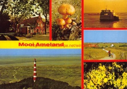 Mooi Ameland - Ameland