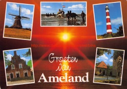 Groeten Van Ameland - Ameland