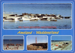Ameland - Waddeneiland - Ameland