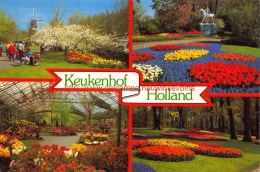 Keukenhof Holland - Lisse