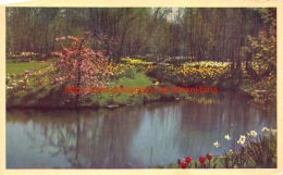 1952 Keukenhof - Lisse - Lisse