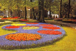 Keukenhof - Lisse - Lisse