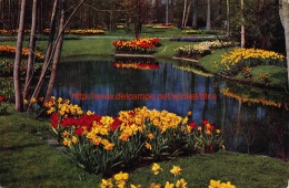 Keukenhof - Lisse - Lisse