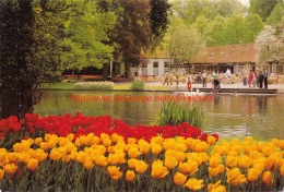 Keukenhof - Lisse - Lisse