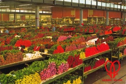 World Flower Centre - Aalsmeer - Aalsmeer