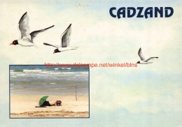 Cadzand - Cadzand