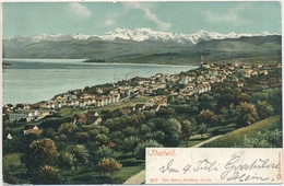 1908 - Thalwil - Gebr. Wehrli, Kilchberg-Zürich - 2571 - Kilchberg