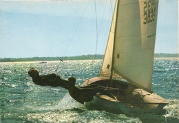 PLAISIRS  DE  LA  VOILE    PHOTO  GILBERT    LE  COSSEC - Sailing
