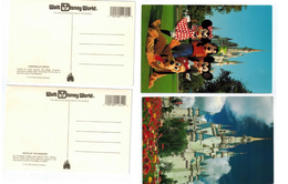 Coppia Di Cartoline Walt Disney World  A Orlando - Orlando