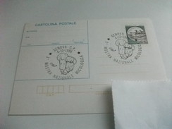 STORIA POSTALE CARTOLINA POSTALE ITALIA CASTELLO LIRE 450  ANNULLO FUNGHI 1° MOSTRA NAZIONALE MICOLOGICA GENOVA - Hongos