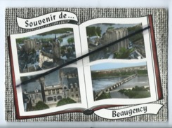 CPM - Souvenir De Beaugency -(Loiret) - (Livre Multivue , Multivues ) - Beaugency