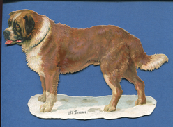 CHROMO DECOUPIS CHIEN DE MONTAGNE ST SAINT BERNARD ( 10,5 CM X 16 CM ) - Animali