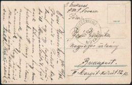 1916 Képeslap / Postcard 'S.M.S. NOVARA' - Other & Unclassified