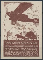 ** 1925/ab II. Magyar Filatelista Nap Barna Vágott Emlékív (15.000) (betapadásnyom) - Altri & Non Classificati