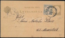 1900 - Altri & Non Classificati