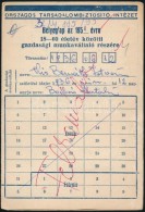 1951 SZTK Bélyeglap 10 Db Bélyeggel - Non Classificati
