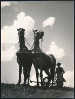 Cca 1955 Botta Ferenc (1919-1968): Szántó, Feliratozott Vintage FotómÅ±vészeti... - Altri & Non Classificati