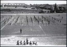 Cca 1944 Katonai Sport Bemutató és Nyilvános Harcászati Gyakorlat, 8 Db Szabadon... - Altri & Non Classificati