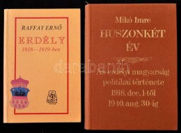 2 Db Erdély Története Témájú Könyv: Raffay ErnÅ‘: Erdély... - Non Classificati