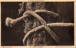 ** T1 Les Scouts De France. Noeud De Cabestan / French Scouting, Capstan Knot - Unclassified