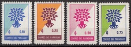 619 Paraguay 1961 World Refugee Year - Anno Del Rifugiato - Emblema Quercia Sradicata Nuova MNH - Trees