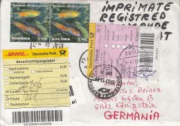 PARADISE FISH, CURRENCY DENOMINATION, STAMPS ON REGISTERED COVER, 2013, ROMANIA - Covers & Documents