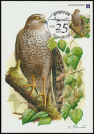 1985/2012, Verzameling Zegels En 119 Max - 1985-.. Oiseaux (Buzin)