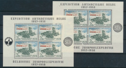 BF 31 'Zuidpool' (2x) Zm (OBP € 360) - Unused Stamps