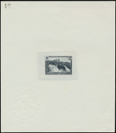 Type N° 293 'Waterval Van Coo' In Minist - Unused Stamps