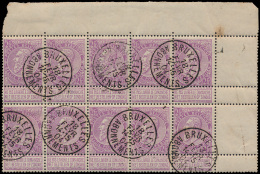 N° 67 (Blok Van 10) Met Hoekbladboord En - 1893-1900 Fijne Baard