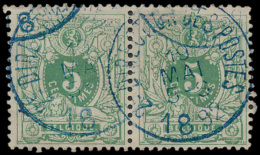 N° 45 (in Paar + In Strip Van 5) Met Bla - 1869-1888 Liggende Leeuw