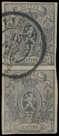 N° 22 '1c Grijs Ongetand' (Vetikaal Paar - 1869-1888 Lying Lion