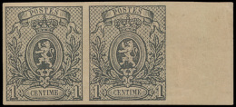 N° 22 '1c Grijs, Ongetand' (In Paar) Pos - 1869-1888 Lion Couché