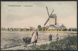 Wommelgem, De Molen (1 Stuk) - Andere & Zonder Classificatie