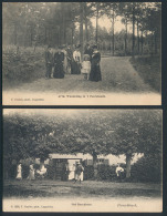 Brasschaat, Merendeel Peerdbos (Hoelen N - Altri & Non Classificati