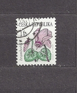 Czech Republic  Tschechische Republik 2007 ⊙ Mi  514 Sc 3345 Flowers  Cyclamen. C2 - Used Stamps