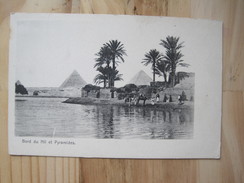 Bord Du Nil Et Pyramides - Pyramides