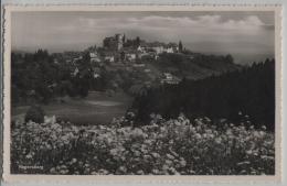 Regensberg - Gesamtansicht - Restaurant Bellevue - Photo: J. Schmidli No. 645 - Regensberg