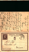 88250) Intero Postale  Da 10 C.effige Del Re Da Catania A Nicosia Il  26/11/1876 - Ganzsachen