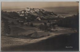 Regensberg - Gesamtansicht - Photo: Guggenheim No. 13602 - Regensberg