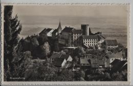 Regensberg - Gesamtansicht - Photo: J. Schmidli No. 591 - Regensberg